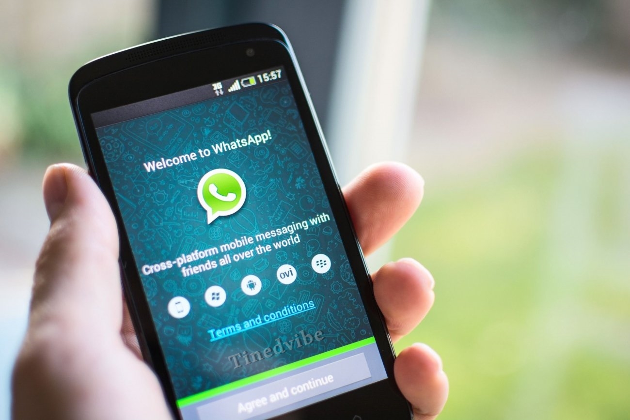 Download WhatsApp Messenger APK new version - WhatsApp for Mobile