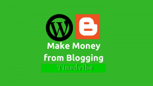 Money from Blogging in South Africa