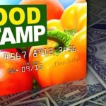 How to Access your New Food Stamp Login – Sign Up For Food Stamp