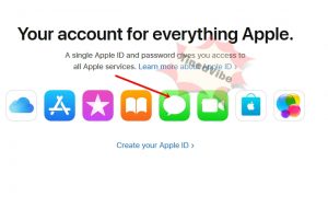 Apple mail login