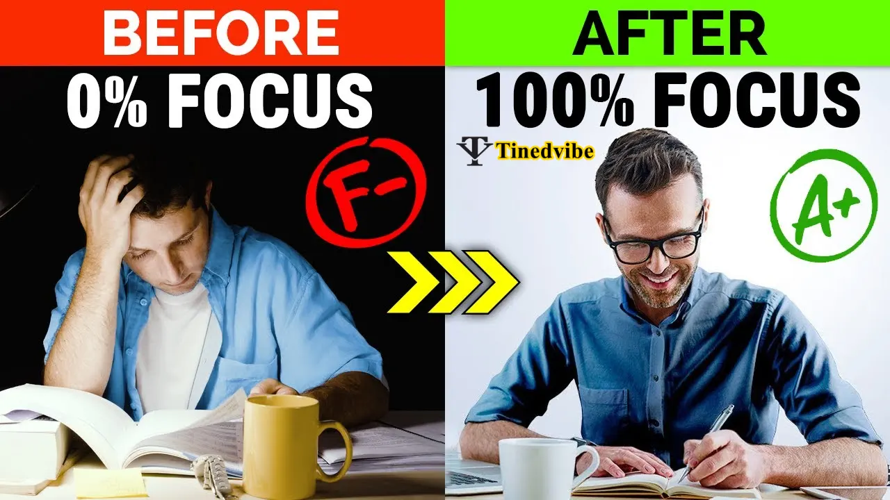Learn How to Study Without Losing Concentration for Hours