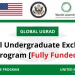 Global Undergraduate Scholarship 2021 in USA (Fully Funded) – Apply Now