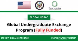 lobal Undergraduate Scholarship 2021 in USA