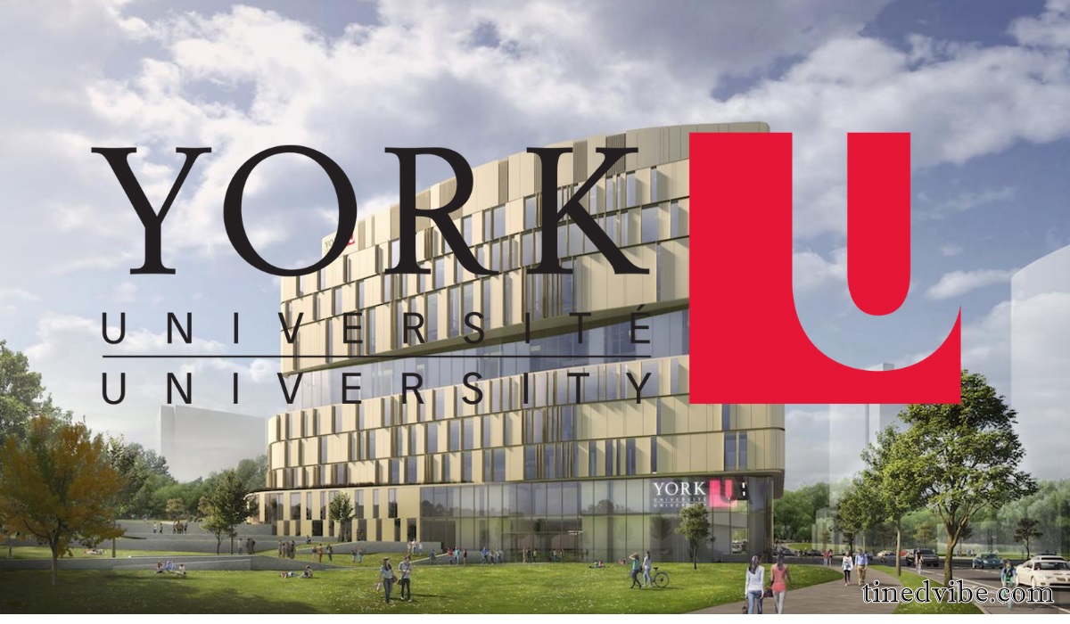 undergraduate studies at York University 2021