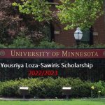 How to Apply For the Yousriya Loza-Sawiris Scholarship 2022/2023