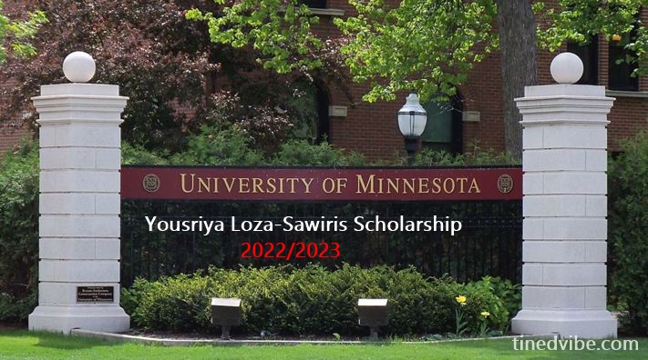 Yousriya Loza-Sawiris Scholarship 2022