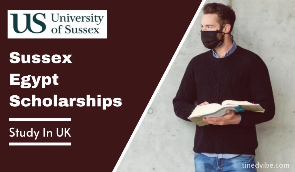 Sussex Egypt Scholarships in the UK