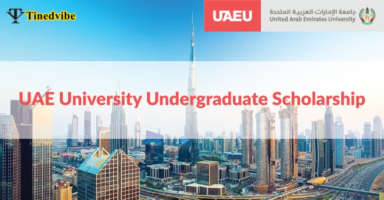 UAE Undergraduate Scholarships 2022