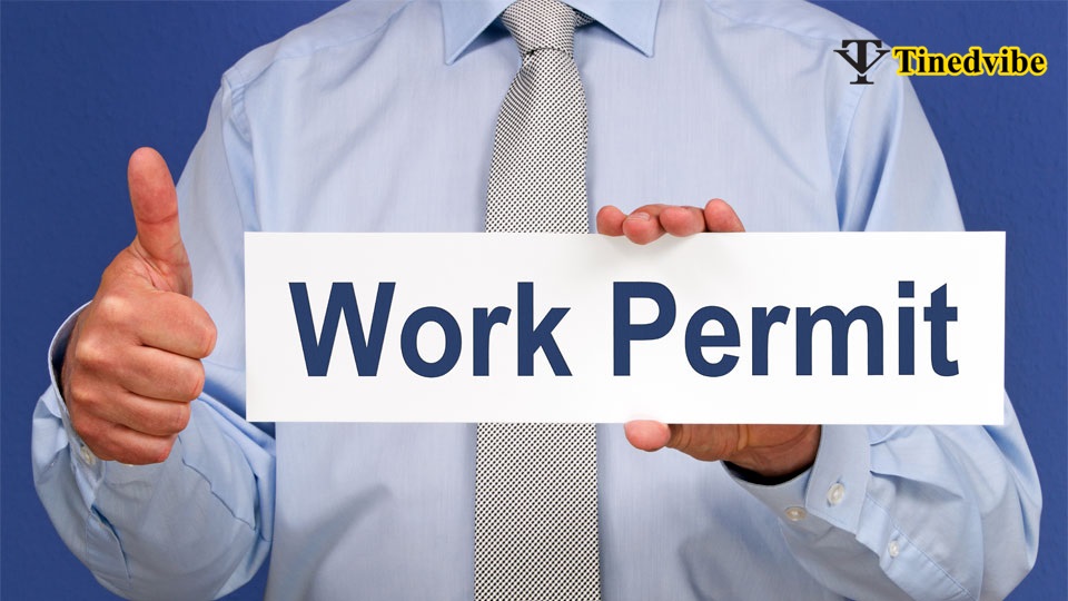 Work and Development Permit Scheme
