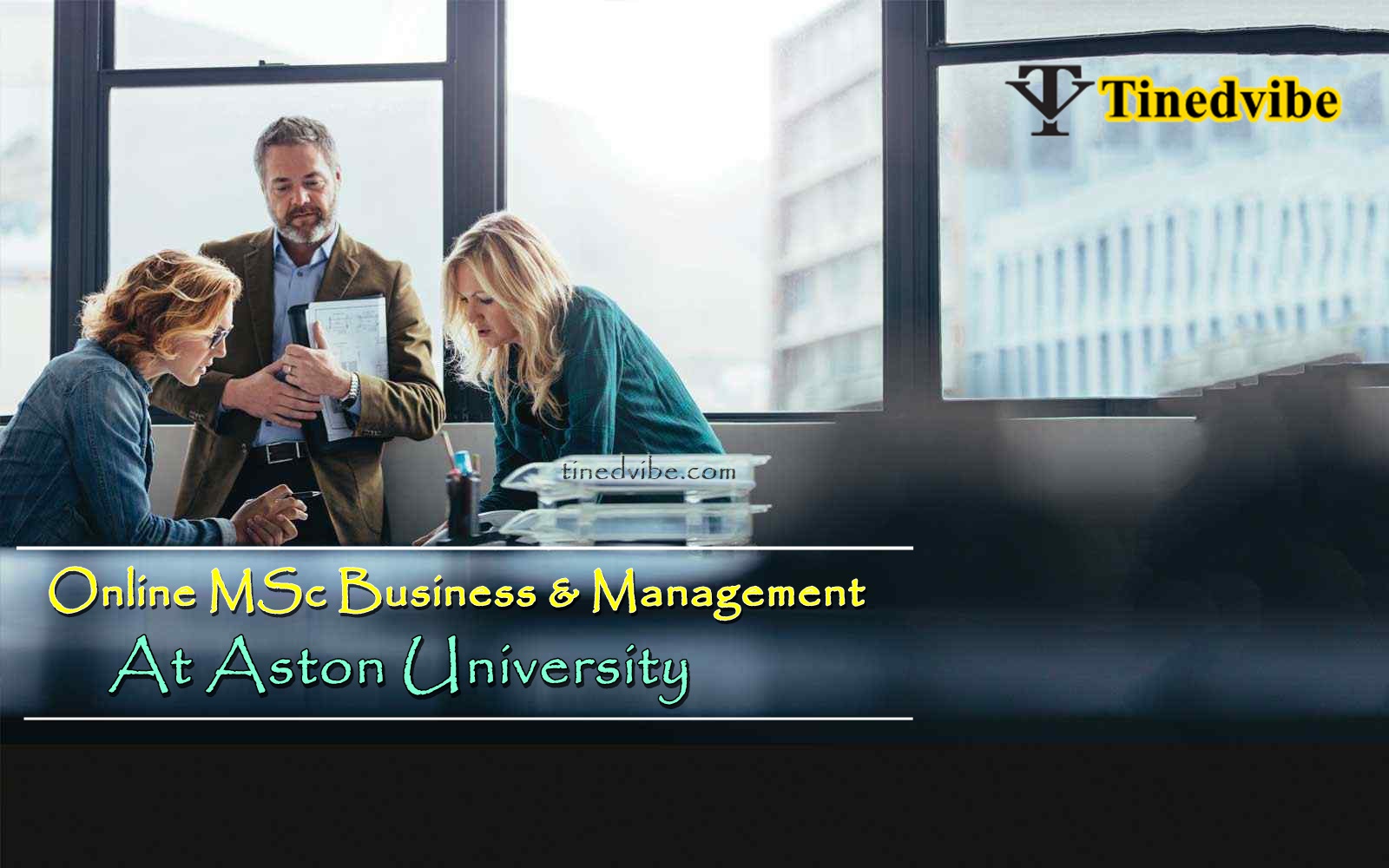Online MSc business & management at Aston