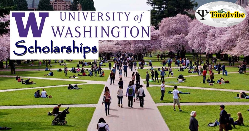 Washington University Scholarships 2022