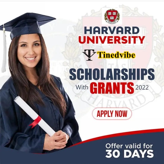 phd scholarships harvard