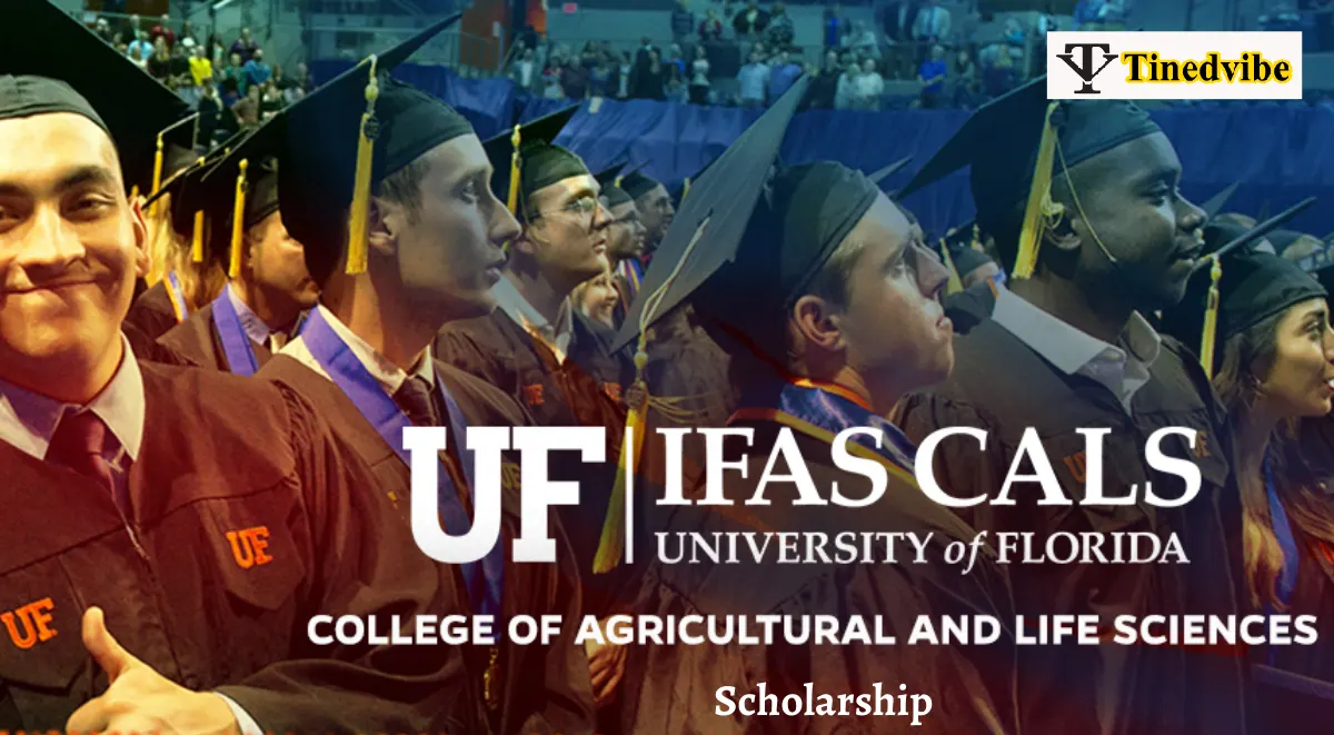 University of Florida scholarships